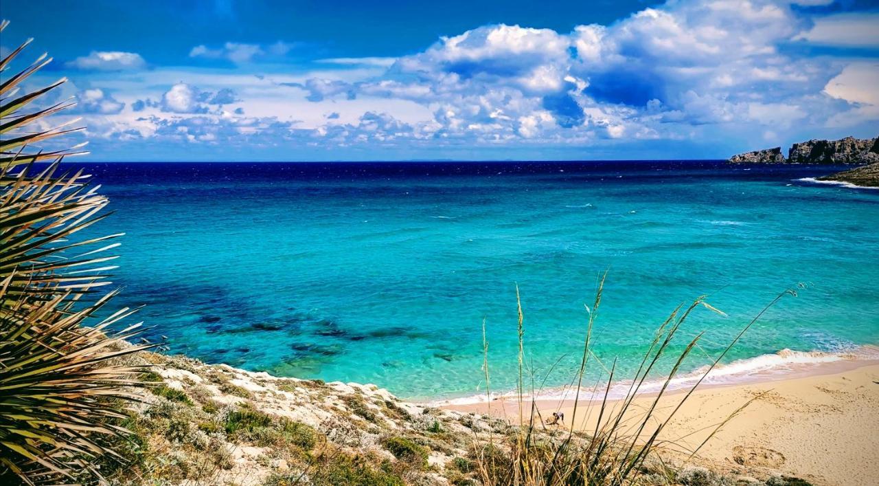 Апартаменты Cala Mesquida Кала Мескида Экстерьер фото